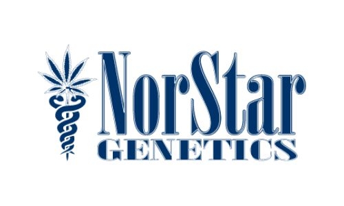 Norstar Genetics