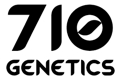 White Candy / FEM 3er / 710 Genetics