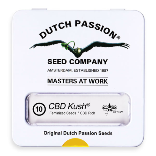 CBD Kush / FEM 10er / Dutch Passion