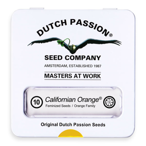 Californian Orange / FEM 10er / Dutch Passion