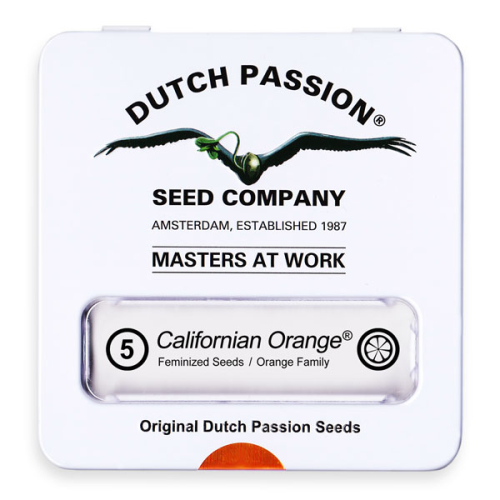 Californian Orange / FEM 5er / Dutch Passion