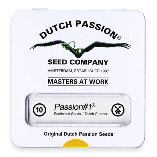 Passion #1 / FEM 10er / Dutch Passion