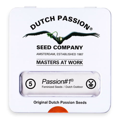 Passion #1 / FEM 5er / Dutch Passion