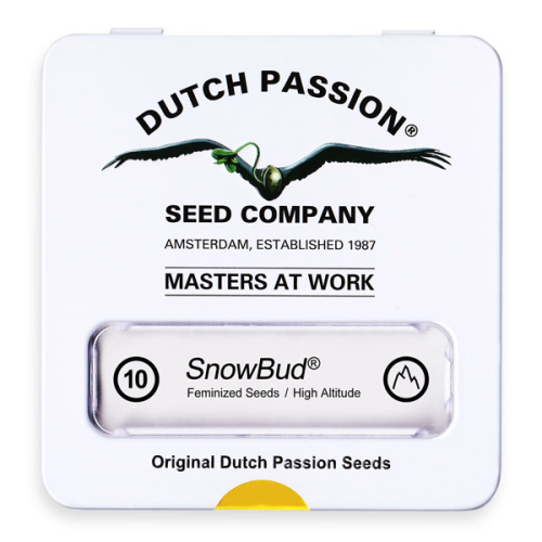 Snow Bud / FEM 10er / Dutch Passion