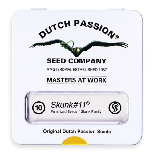 Skunk #11 / FEM 10er / Dutch Passion