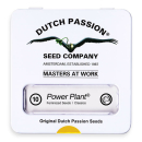 Power Plant / FEM 10er / Dutch Passion