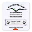 Power Plant / FEM 5er / Dutch Passion