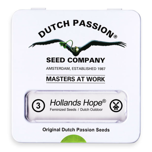 Hollands Hope / FEM 3er / Dutch Passion
