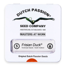 Frisian Duck / FEM 5er / Dutch Passion