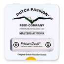 Frisian Duck / FEM 10er / Dutch Passion