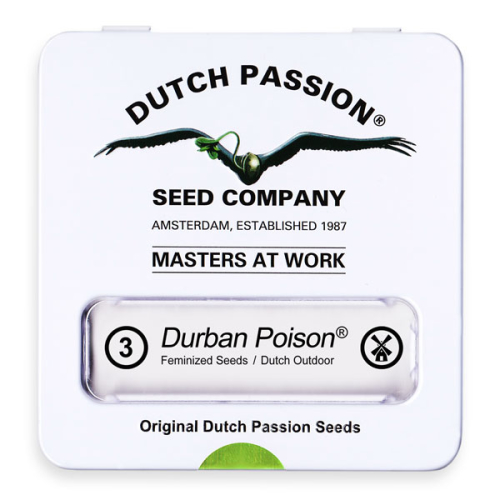 Durban Poison / FEM 3er / Dutch Passion