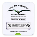 Glueberry O.G. / FEM 3er / Dutch Passion
