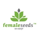Lemon Kush / FEM 4er / Female Seeds