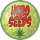 Draco Mango / FEM 3er / Hero Seeds