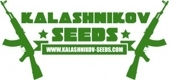 Kabul Express / FEM 10er / Kalashnikov Seeds
