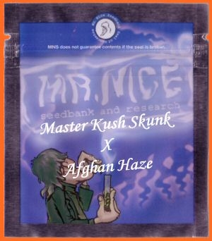 Master Kaze (Master Kush Skunk x Afghan Haze) / REG 18er / Mr. Nice Seedbank