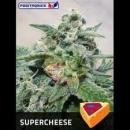 Supercheese / FEM 3er / Positronic Seeds
