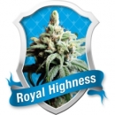 Royal Highness CBD / FEM 3er / Royal Queen Seeds