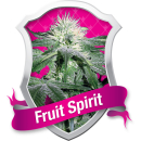 Fruit Spirit / FEM 5er / Royal Queen Seeds