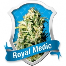 Royal Medic / FEM 5er / Royal Queen Seeds