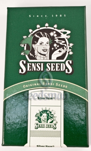 Silver Haze / REG 10er / Sensi Seeds