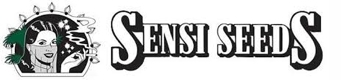Skunk #1 / FEM 3er / Sensi Seeds