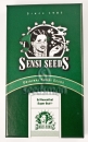 Ed Rosenthal Super Bud / REG 10er / Sensi Seeds