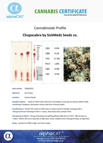 Chupacabra / FEM 3er / SickMeds Seeds