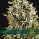 Super Skunk / FEM 5er / Vision Seeds