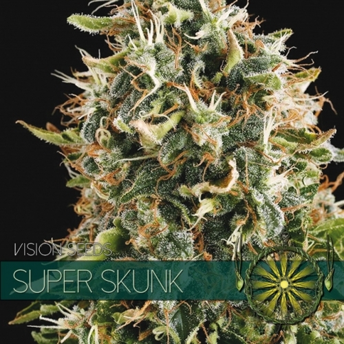 Super Skunk / FEM 10er / Vision Seeds