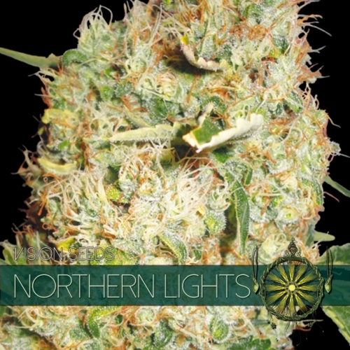 Northern Lights / FEM 10er / Vision Seeds