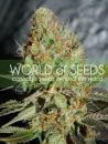 Afghan Kush Special / FEM 3er / World of Seeds