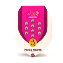 Purple Queen / FEM 3er / Royal Queen Seeds