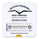Critical Orange Punch / FEM 10er / Dutch Passion