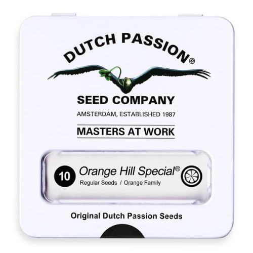 Orange Hill Special / REG 10er / Dutch Passion