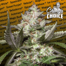 Auto Kong 4 (Gorilla Glue) (Chongs Choice) / AUTOFEM 3er / Paradise Seeds