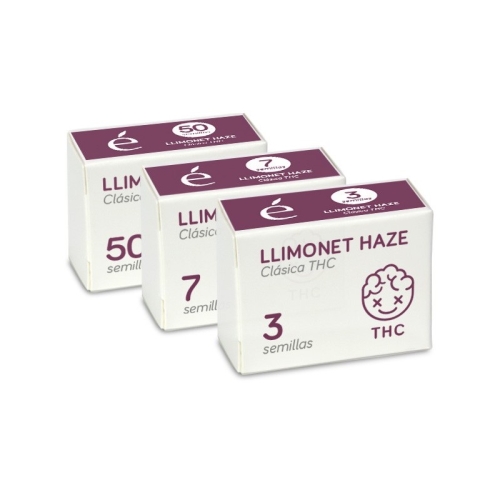 Llimonet Haze Classic THC / FEM 50er / Elite Seeds
