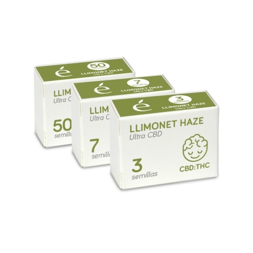 Llimonet Haze Ultra CBD / FEM 50er / Elite Seeds