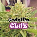 Godzilla Glue / FEM 8er / Dr Underground