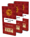 Gorilla Glue / AUTOFEM 3er / Barneys Farm Seeds
