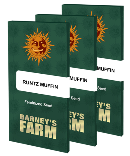Runtz Muffin  / FEM 3er / Barneys Farm Seeds