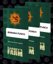 Banana Punch / FEM 5er / Barney&acute;s Farm Seeds