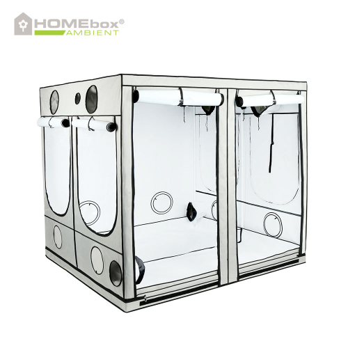 HOMEbox Ambient Q240 Plus | 240 x 240 x 220 cm