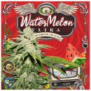 Watermelon Ultra 710 Limited / FEM 7er / T.H. Seeds