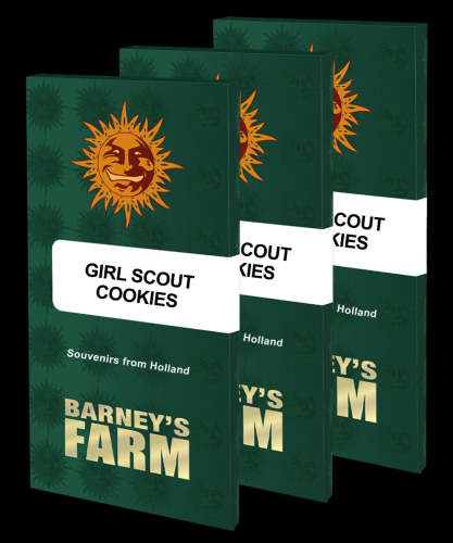 Girl Scout Cookies / FEM 3er / Barneys Farm Seeds