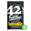 Lemon Pie / AUTOFEM 3er / FastBuds Seeds