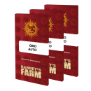 GMO / FEM 5er / Barneys Farm Seeds