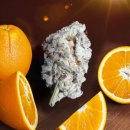 Orange Bud 2.0 / FEM 3er / Dutch Passion