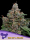Sun of a Peach / FEM 10er / Anesia Seeds