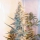 Outdoor Grapefruit / FEM / Female Seeds